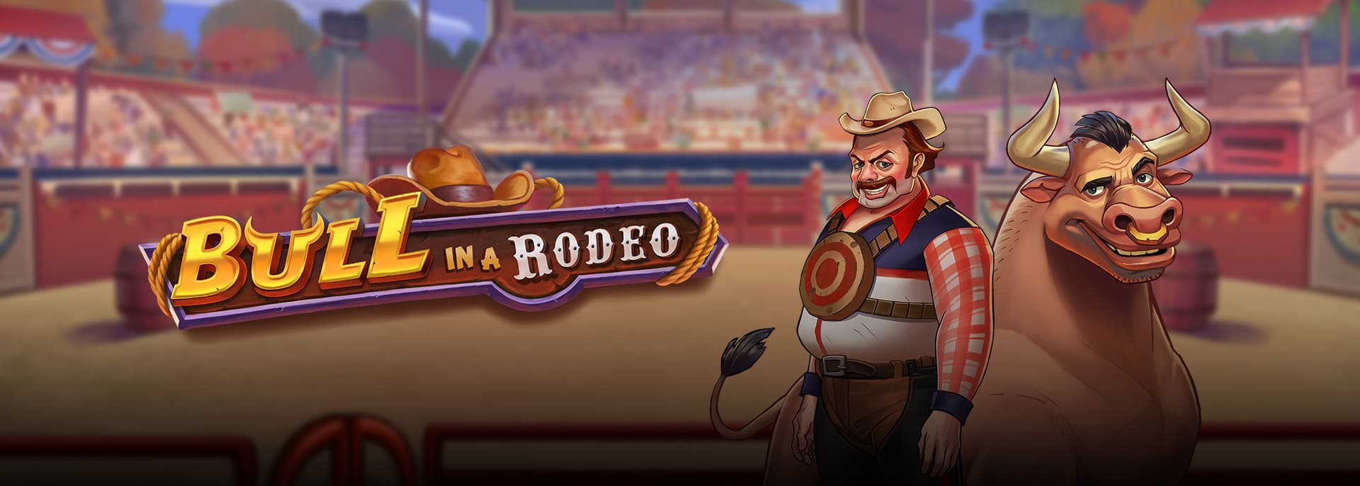 Bull in a Rodeo