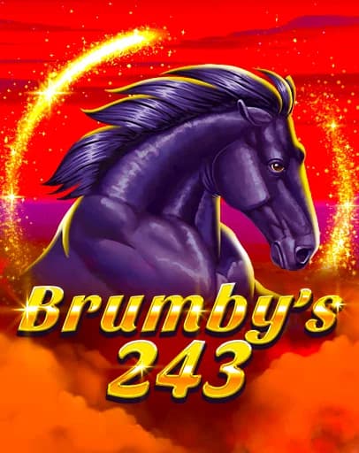 Brumby's 243
