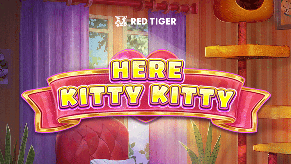 Here Kitty Kitty
