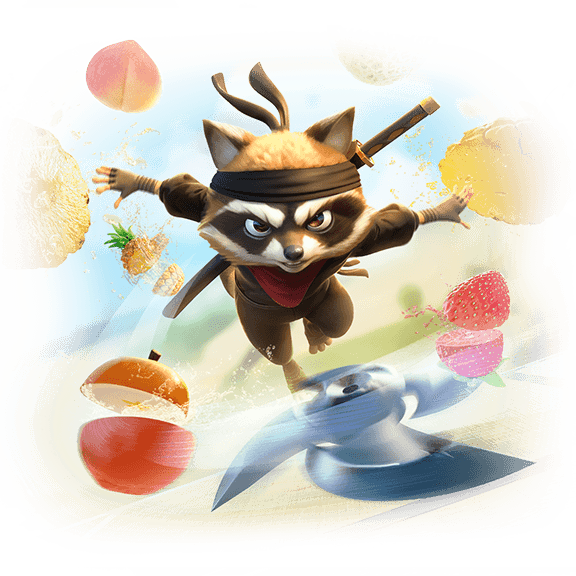 Ninja Raccoon Frenzy