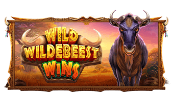 Wild Wildebeest Wins